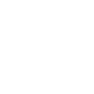 lenbzz_'s emblem