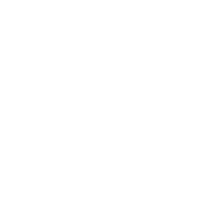 NsudayKons's emblem