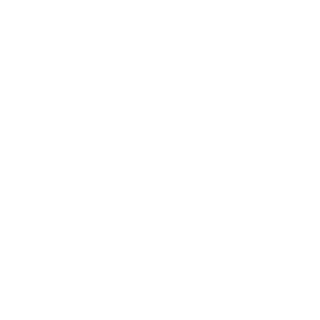 solidexecution's emblem