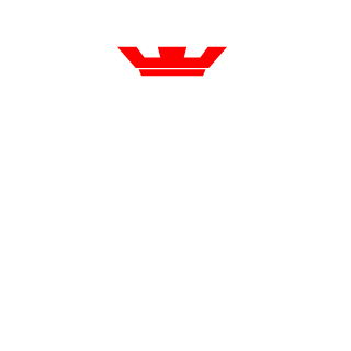 Flaming4531's emblem