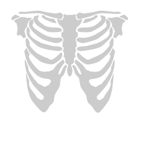 Vanderloost_yan's emblem