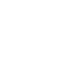 alcaponenoobs's emblem