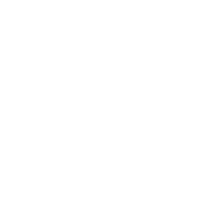 badlystupid's emblem