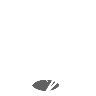 rocknexus's emblem