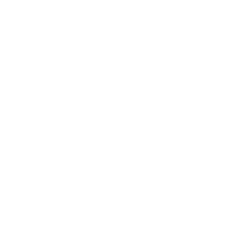 bjork66's emblem