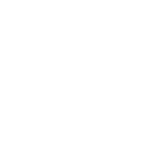 vay9000's emblem