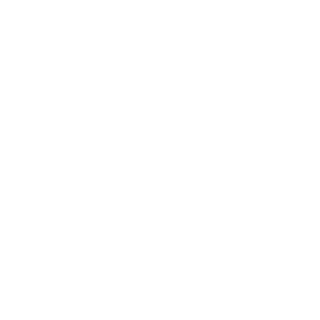 30tomi's emblem