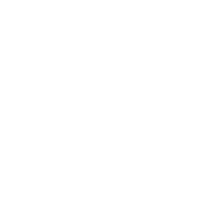 Slorce's emblem