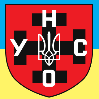AshFoxUA's emblem