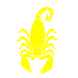 BARRAKUDA50's emblem