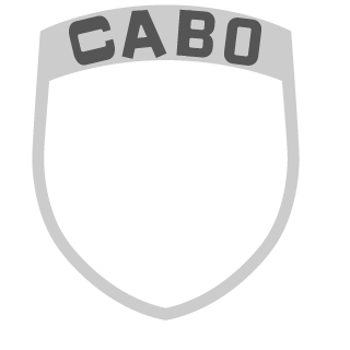 Seko320's emblem