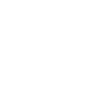 voeo-8's emblem