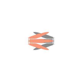 Oboa11's emblem
