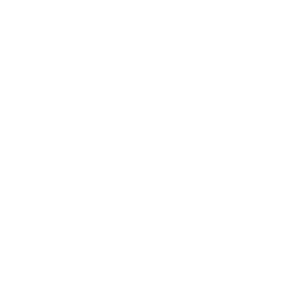 Kybus2006's emblem