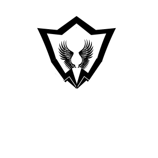 2007KTMSuperDuke's emblem