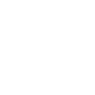 yorha_angel's emblem