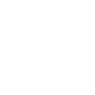 vintminto's emblem