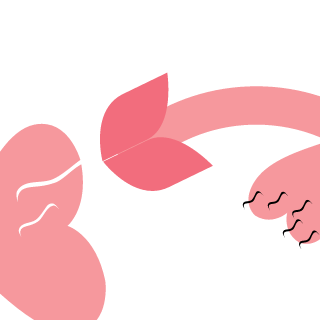 CosmosKamikaze's emblem