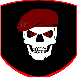 Skull8Ranger's emblem
