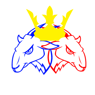 StuidAsStuidGets's emblem