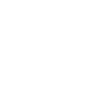 Frenchries2000's emblem
