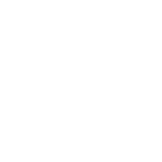 ACunningFox's emblem