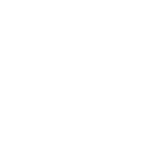 TheWildHammer's emblem
