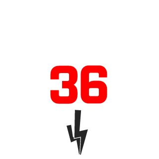 Fostron's emblem