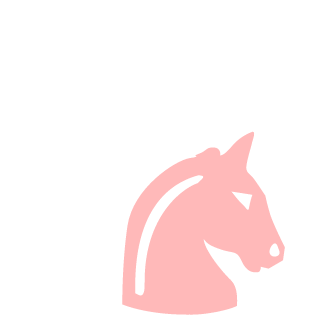 NDZchucknorris's emblem