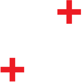 xR0GU3V1RU5's emblem