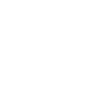 GIB_DiverX's emblem