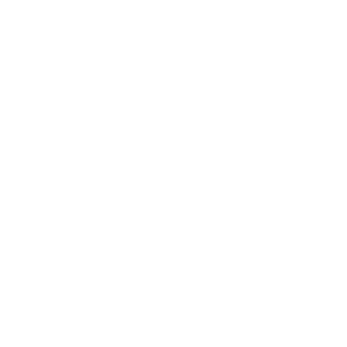 DIMANSTRYAN's emblem