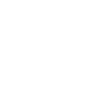 ali96allaw's emblem