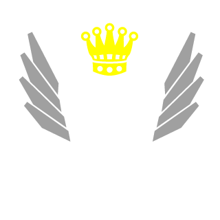 FFL TEAM's emblem