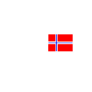 Srally99's emblem