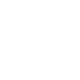 turbof1sh's emblem
