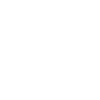 vMNN1-'s emblem