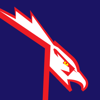 DTs247's emblem