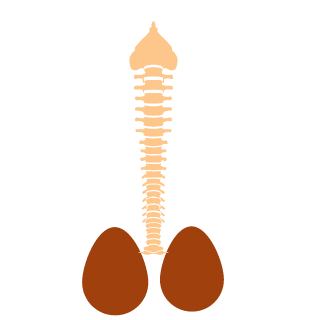 ybert1335's emblem