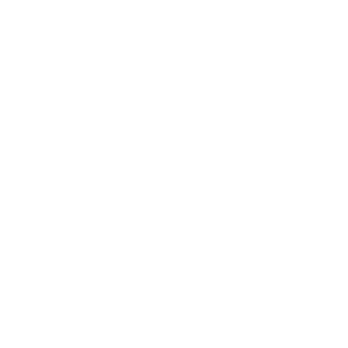 mdspeedster's emblem