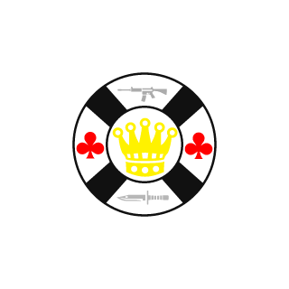 SALVIK55's emblem