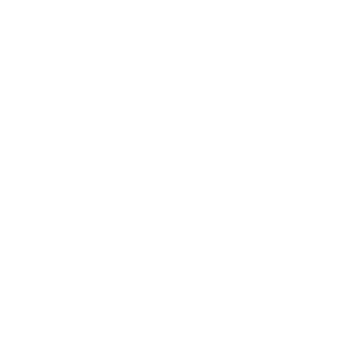 t-kami2142's emblem