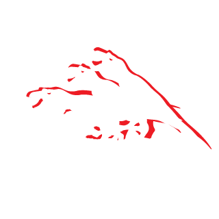 osi6's emblem