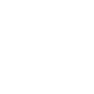 TGxValKyrie's emblem