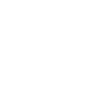 BreakThat10's emblem