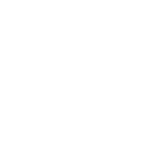 Game4ever's emblem