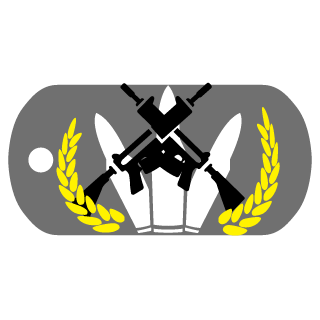 1BoomZoomer1's emblem