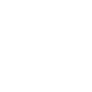 TheEric960's emblem
