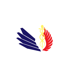 7wings's emblem
