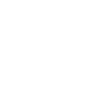 V1GiLANT3's emblem